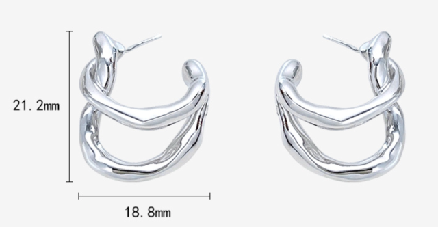 925 Sterling Silver Irregular Niche Design Minimalist Cool-toned Lightweight Luxury Statement Earrings